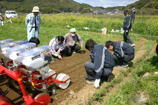 産地化目指す 春蒔きそば 試験栽培 ｊａあしきた 新着情報一覧 ｊａグループ熊本