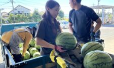 秋期大玉スイカ出荷開始　ＪＡ熊本市